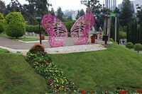 GreenArea 04